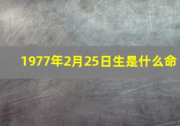 1977年2月25日生是什么命