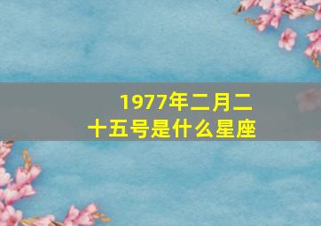 1977年二月二十五号是什么星座