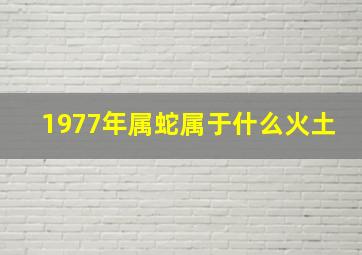 1977年属蛇属于什么火土