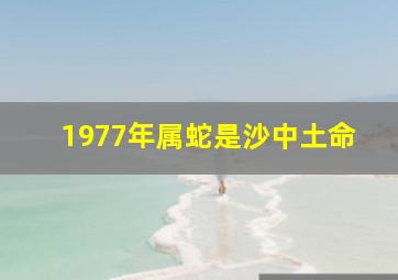 1977年属蛇是沙中土命