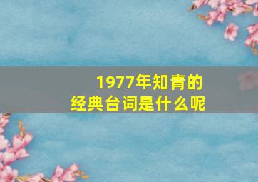 1977年知青的经典台词是什么呢