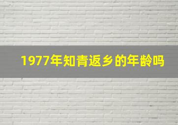 1977年知青返乡的年龄吗