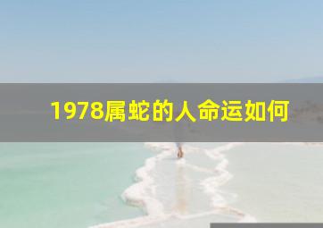 1978属蛇的人命运如何