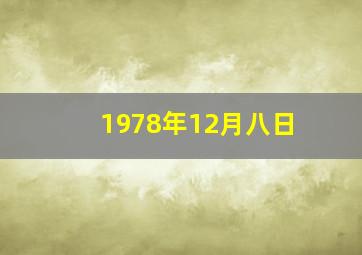 1978年12月八日