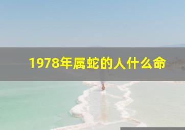 1978年属蛇的人什么命