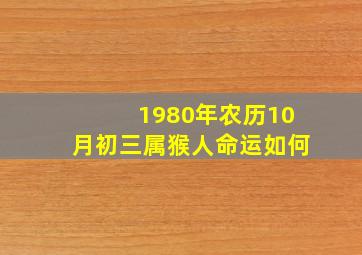 1980年农历10月初三属猴人命运如何