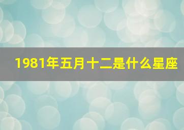 1981年五月十二是什么星座