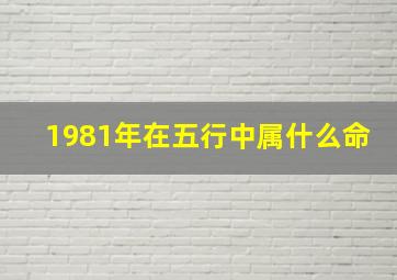 1981年在五行中属什么命