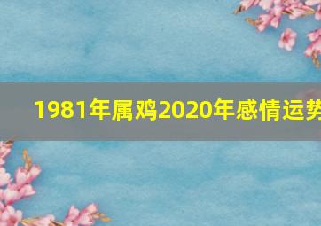 1981年属鸡2020年感情运势