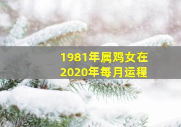 1981年属鸡女在2020年每月运程