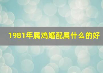 1981年属鸡婚配属什么的好