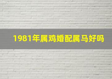 1981年属鸡婚配属马好吗