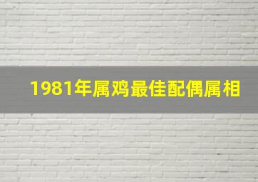 1981年属鸡最佳配偶属相