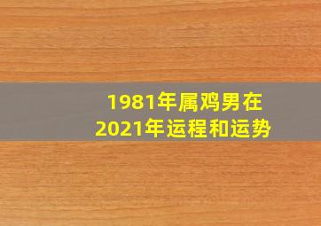 1981年属鸡男在2021年运程和运势