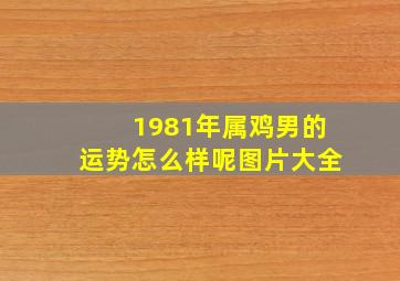 1981年属鸡男的运势怎么样呢图片大全