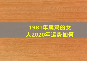 1981年属鸡的女人2020年运势如何