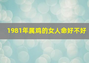 1981年属鸡的女人命好不好