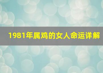 1981年属鸡的女人命运详解