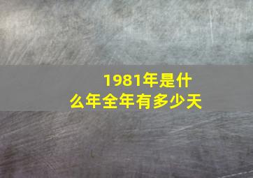 1981年是什么年全年有多少天