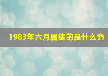 1983年六月属猪的是什么命