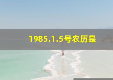 1985.1.5号农历是