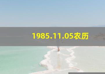 1985.11.05农历