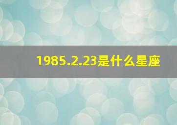 1985.2.23是什么星座