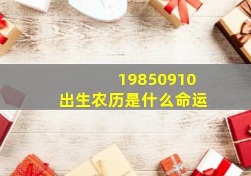 19850910出生农历是什么命运