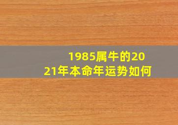 1985属牛的2021年本命年运势如何