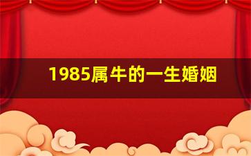 1985属牛的一生婚姻