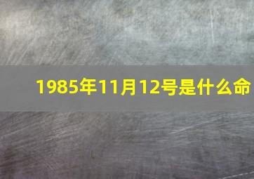 1985年11月12号是什么命