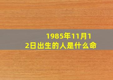 1985年11月12日出生的人是什么命