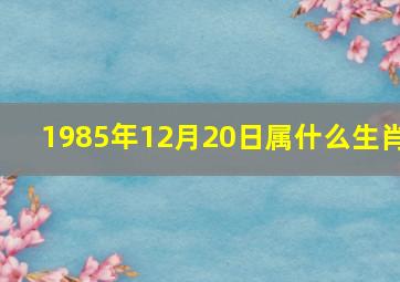 1985年12月20日属什么生肖