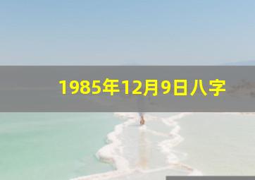 1985年12月9日八字