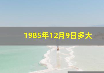 1985年12月9日多大