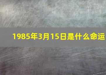 1985年3月15日是什么命运