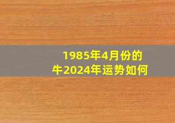 1985年4月份的牛2024年运势如何