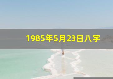 1985年5月23日八字