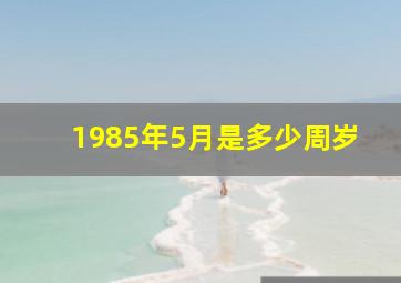 1985年5月是多少周岁