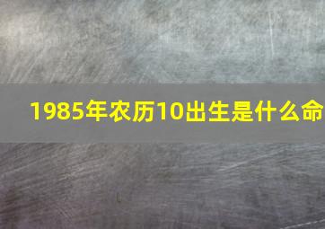 1985年农历10出生是什么命