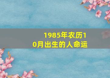 1985年农历10月出生的人命运