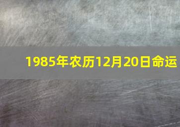 1985年农历12月20日命运