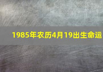 1985年农历4月19出生命运