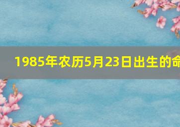 1985年农历5月23日出生的命