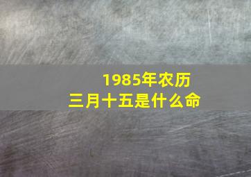 1985年农历三月十五是什么命