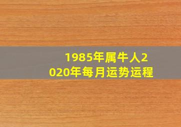 1985年属牛人2020年每月运势运程