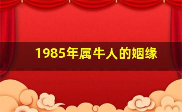 1985年属牛人的姻缘