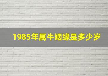 1985年属牛姻缘是多少岁