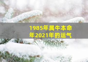 1985年属牛本命年2021年的运气