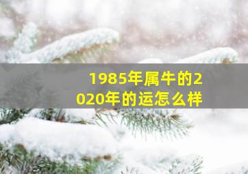 1985年属牛的2020年的运怎么样